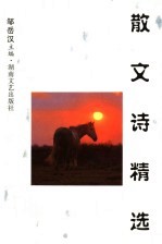 散文诗精选  1993-1998