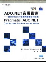 ADO.NET实用指南  面向Internet世界的数据访问技术