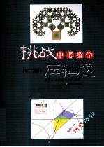 挑战中考数学压轴题