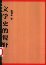 文学史的视野