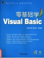 零基础学Visual Basic