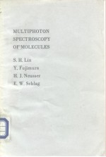 Multiphoton Spectroscopy of Molecules