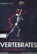 Anatomy of the vertebrates : a laboratory guide