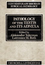 PATHOLOGY OF THE TESTIS AND ITS ADNEXA  CONTEMPORARY ISSUES IN SURGICAL PATHOLOGY VOLUME 7