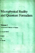 MICROPHYSICAL REALITY AND QUANTUM FORMALISM VOLUME 1