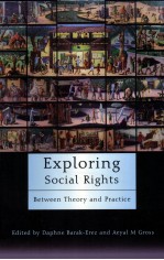 exploring social rights  between theory and practice