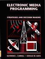 Electronic media programming strategies and decision making