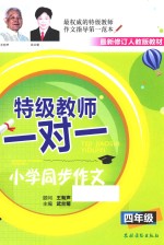 特级教师一对一小学同步作文  四年级