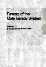 Tumors of the male genital system