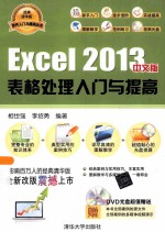 Excel 2013中文版表格处理入门与提高