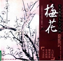 名家教你七天学国画  梅花