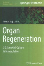 ORGAN REGENERATION 3D STEM CELL CULTURE & MANIPULATION