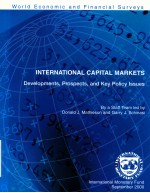 INTERNATIONAL CAPITAL MARKETS  DEVELOPMENTS