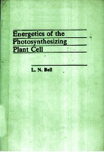 ENERGETICS OF THE PHOTOSYNTHSIZING PLANT CELL