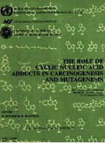 The role of cyclic nucleic acid adducts in carcinogenesis and mutagenesis