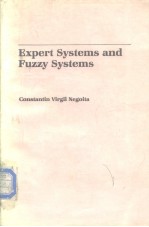 Expert Systems and Fuzzy Systems