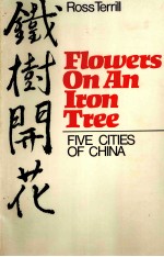 Flowers on an iron tree:five cities of China