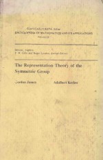 THE REPRESENTATION THEORY OF THE SYMMETRIC GROUP