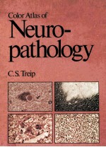 Color Atlas of Neuropathology