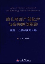 胎儿畸形产前超声与病理解剖图谱  胸腔、心脏和腹部分卷