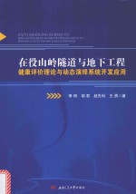 在役山岭隧道与地下工程健康评价理论与动态演绎系统开发应用