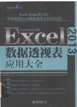 Excel 2013数据透视表应用大全