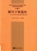 淅川下寨遗址  东晋至明清墓葬发掘报告