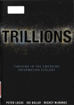 Trillions thriving in the emerging information ecology