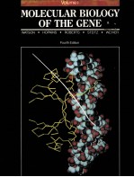 MOLECULAR  BIOLOGY OF THE GENE  VOLUME 1  FOURTH EDITION