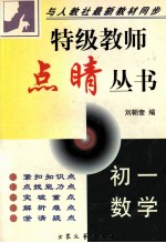 特级教师点晴丛书  初一数学