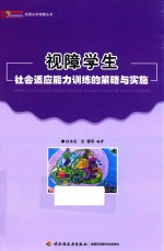 视障学生社会适应能力训练的策略与实施