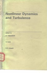 Nonlinear Dynamics and Turbulence