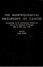 THE MORPHOLOGICAL PRECURSORS OF CANCER