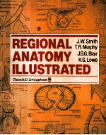 Regional anatomy illustrated