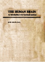 THE HUMAN BRAIN  AN INTRODUCTION TO ITS FUNCTIONAL ANATOMY