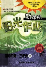 新课程阳光作业  初中几何  三年级  全  人教统编版