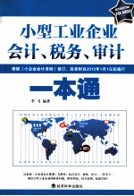 小型工业企业会计、税务、审计一本通