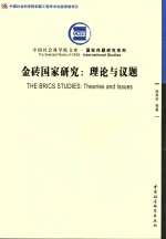 金砖国家研究  理论与议题