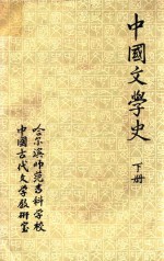 中国文学史  元明清部分  下