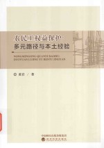 农民工权益保护  多元路径与本土经验