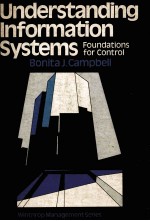 Understanding information systems : foundations for control