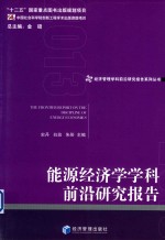 2013能源经济学学科前沿研究报告