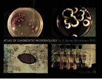 ATLAS OF DIAGNOSTIC MICROBIOLOGY