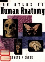 AN ATLAS TO HUMAN ANATOMY