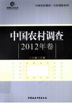 中国农村调查  2012年卷