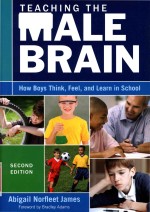 Teaching the male brain: how boys think