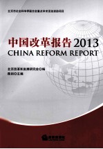 中国改革报告  2013