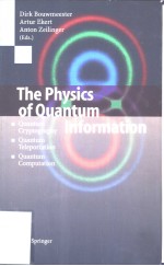 The Physics of Quantum Information