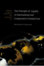 The Principle of Legality in International and Comparative Criminal Law