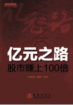 亿元之路  股市赚上100倍